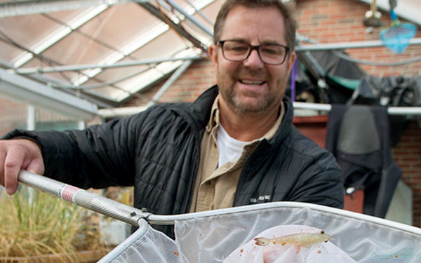 Image of man holding fish net with shrimp inside.