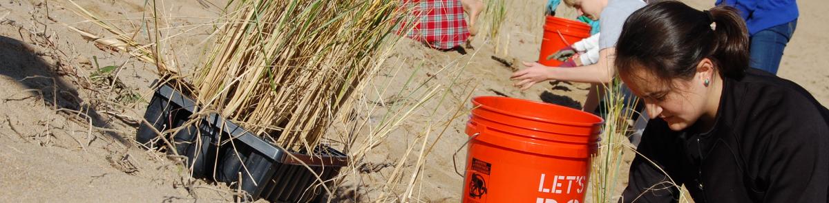 Citizen Science workers helping with dune restoration