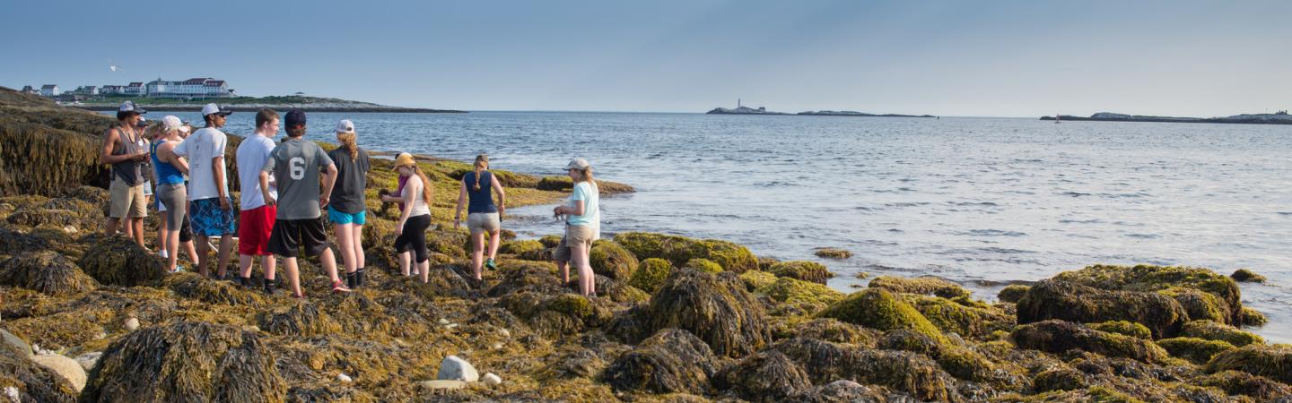 marine immersion at isle of shoals