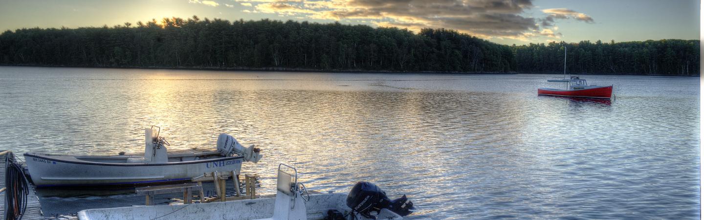 Small boats at the Jackson Estuarine Laboratory