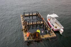 Floating aquaculture raft with two workers and boat.