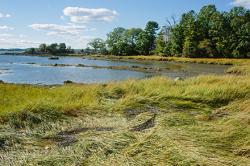 great bay estuary