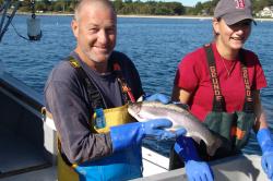 marine aquaculture