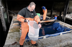 Two fishermen with nets over platform.
