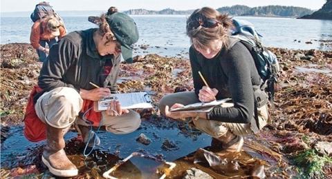 Two students examine a tide pool on the New Hampshire coast as part of a NH Sea Grant marine education program.