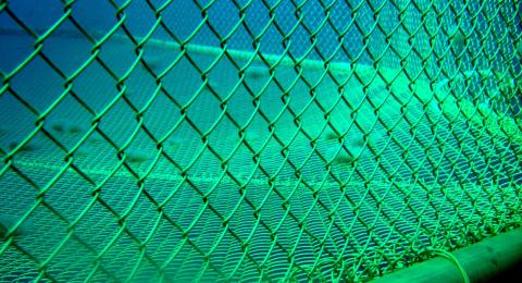 Copper Alloy Cages
