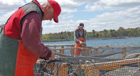 fishermen repairing nets