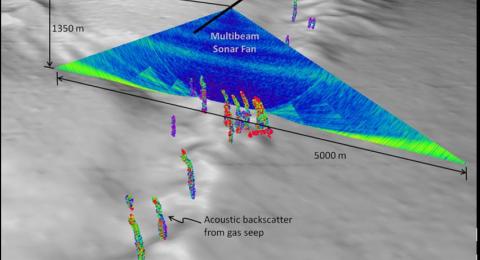 Backscatter collected with a multibeam echo sounder along a salt dome in the northern Gulf of Mexico.