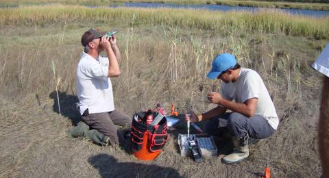 tidal marsh water sampling