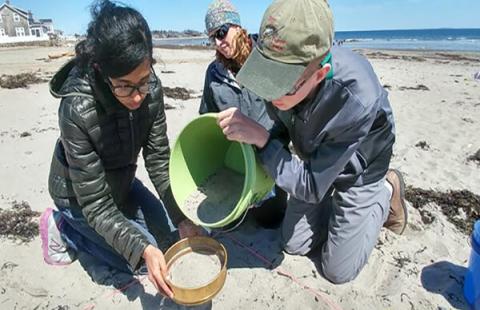 Three people sift sand on a New Hampshire beach as part of the NH Sea Grant College Program.