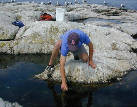 smsoe student collecting samples at the coast