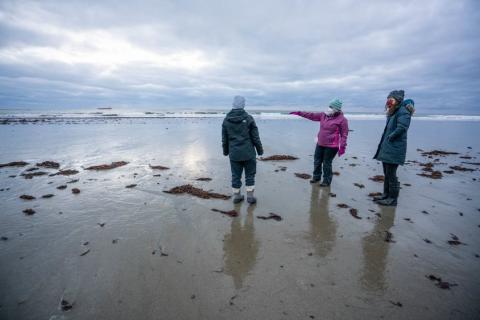 Photo of people on a wet beach pointing at ocean.