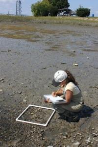 researcher examining algae 