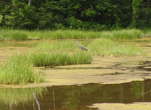 Piscataqua Region Estuaries Partnership 