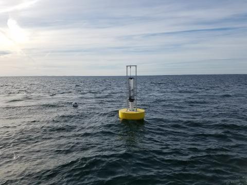 Wave Energy Buoy deployed off of the Isles of Shoals