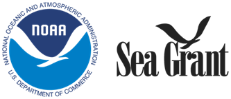 NOAA SG Logo