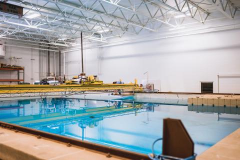 Color photo of marine school tank.