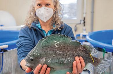 Elizabeth Fairchild holding a large lumpfish.