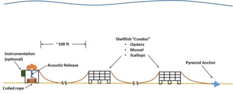 Illustration of ropeless aquaculture.