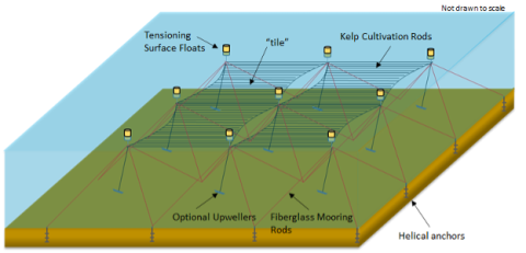 Rendering showing the components of an open ocean macroalgae farm.