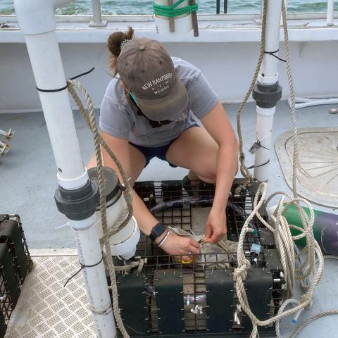 Photo of student on boat crouching in front of cage. 