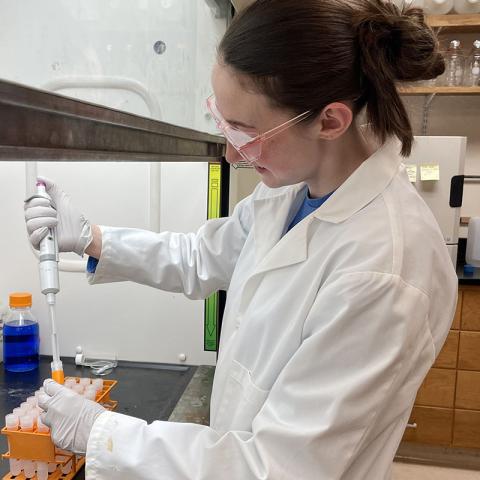 Photo of student filling test tubes.