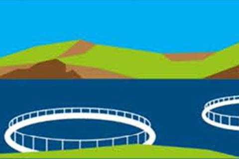 Color illustration of two white aquaculture rings floating on the water's surface.