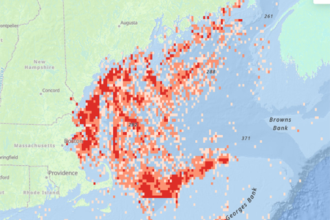 Map graphic of the ocean where lumpfish live.