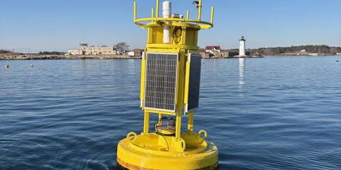 Photo of yellow buoy on the water.
