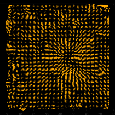 Close up image of a brown, uneven texture. 