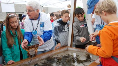 Volunteer with students over a touch tank. 