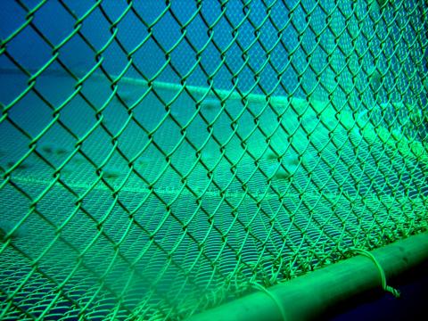 Copper Alloy Cages