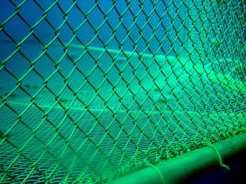 Copper Net for Fish Farming Cage in Sea - China Fish Net and Fish