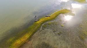 Oyster Reef Mapping