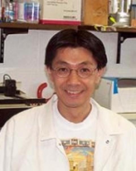 Paul Tsang