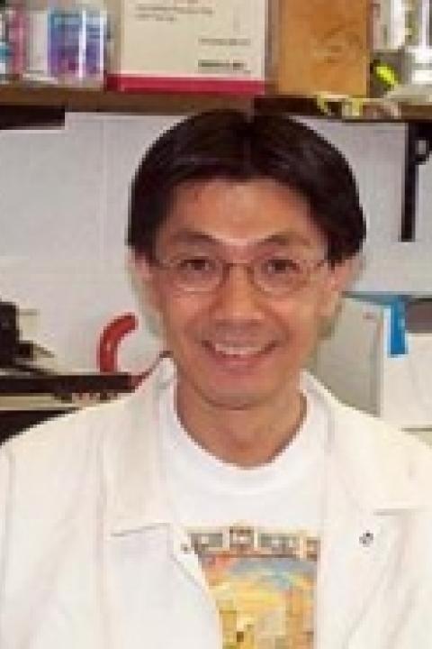 Paul Tsang