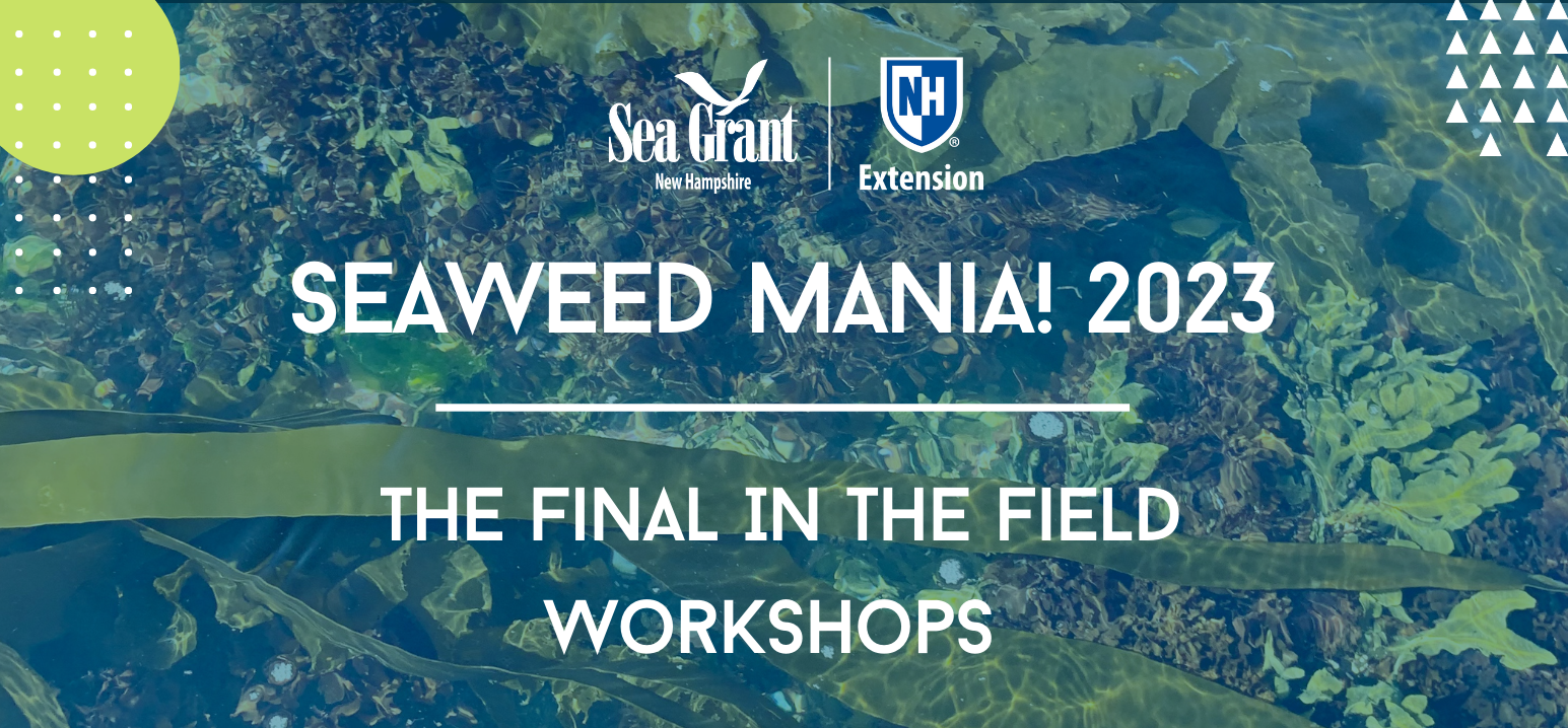 Seaweed Mania! In the Field Workshop image.
